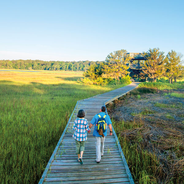 Birding Hot Spots of Georgia’s Golden Isles 5