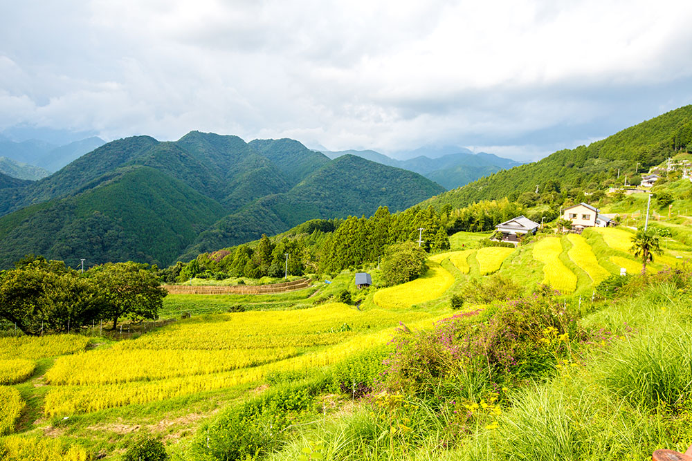 Experience the Magic of the Yamabushi Monks 1