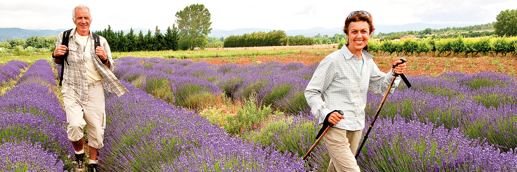 Happy couple walking through lavender field in Provence