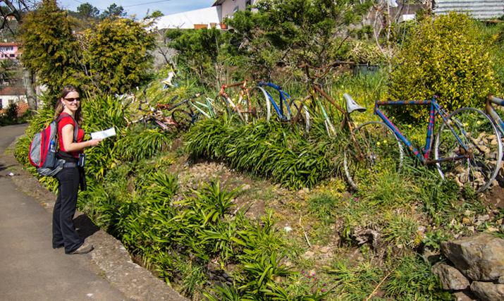 Madeira: A Floating Garden 300 miles off the Coast of Africa 1