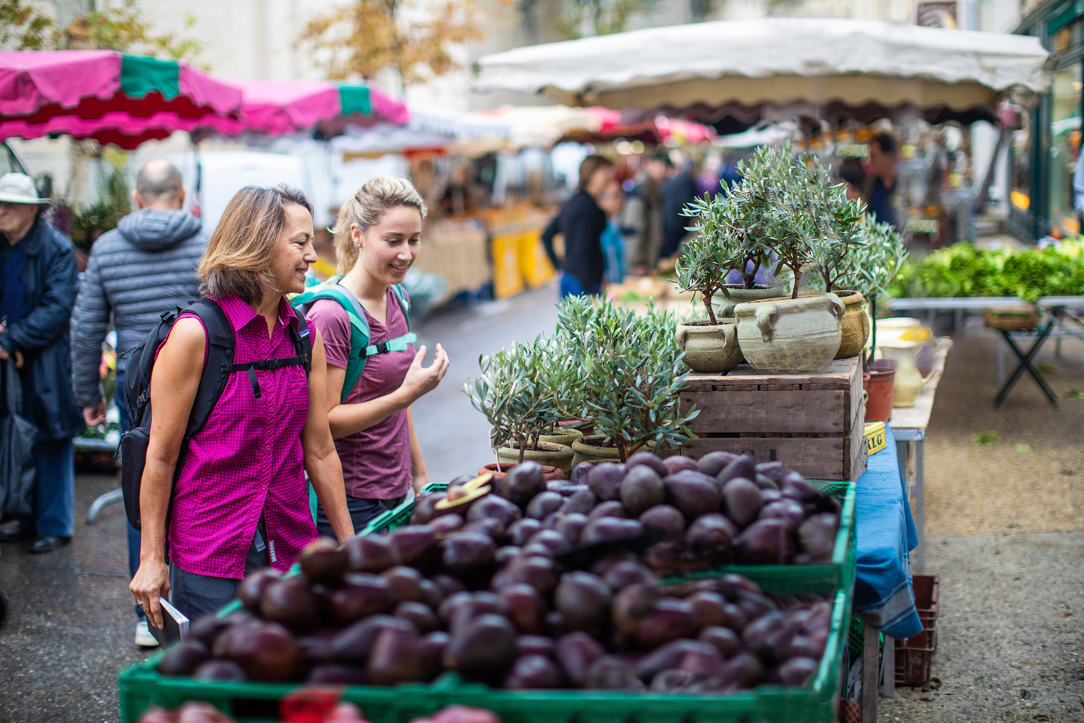 Two women looking at avocados in an open market