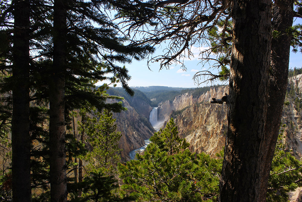 Yellowstone National Park