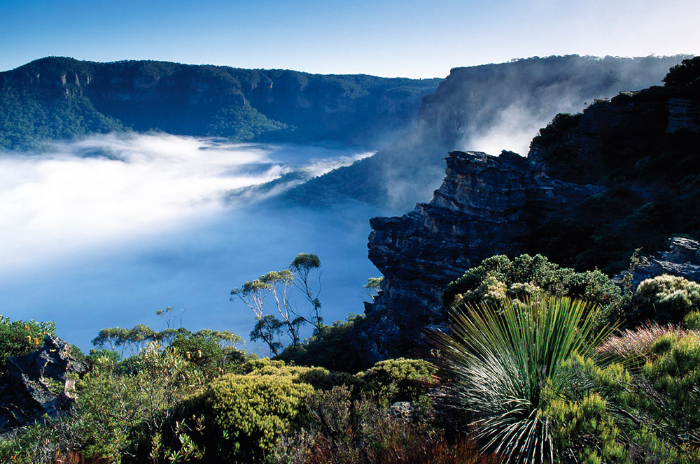 How to Have the Ultimate Australian Adventure