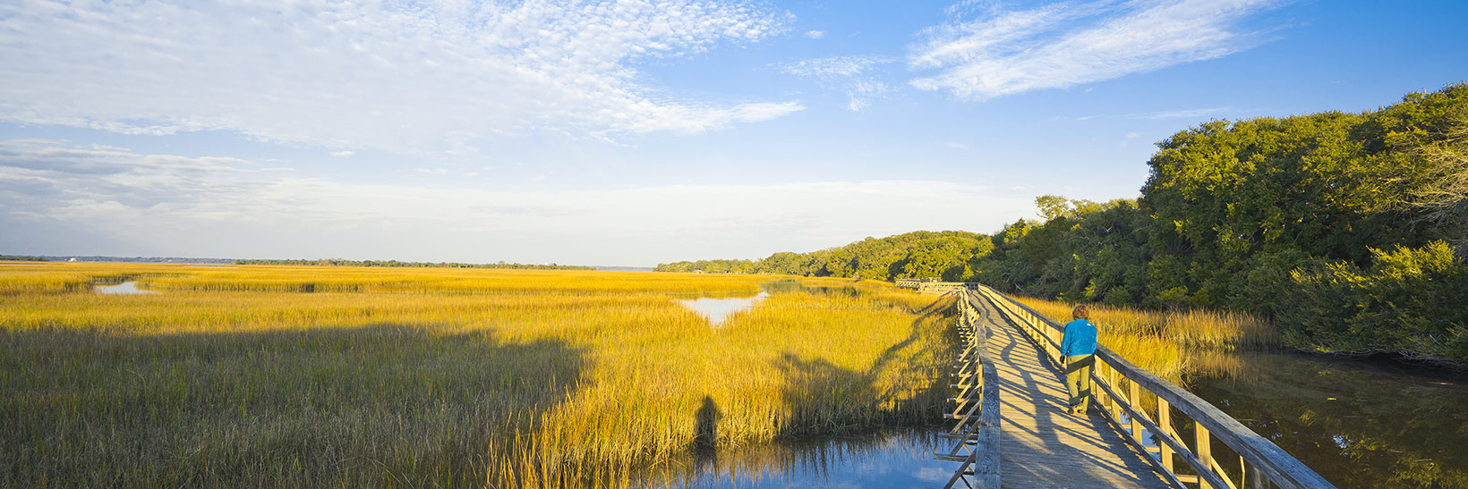 Escape into Nature on Little St. Simons Island 1