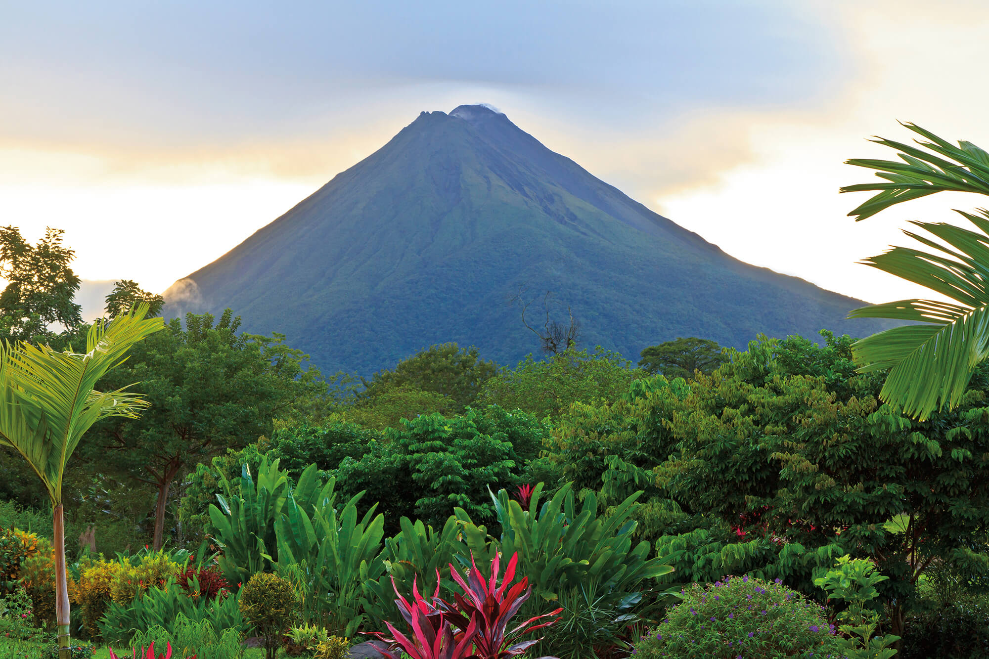 How to Spot Costa Rica’s Most Iconic Animals 7