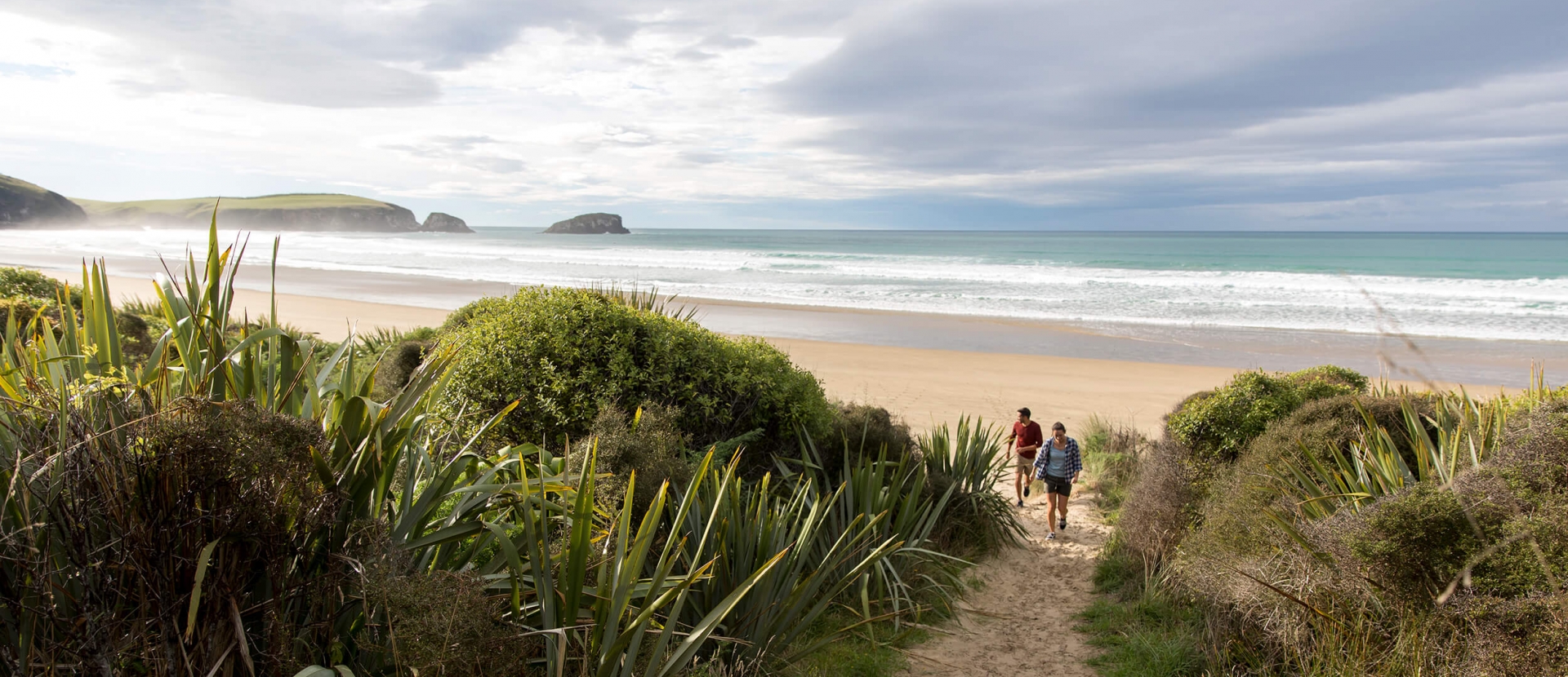 Two people walking amidst greenery next to a beach