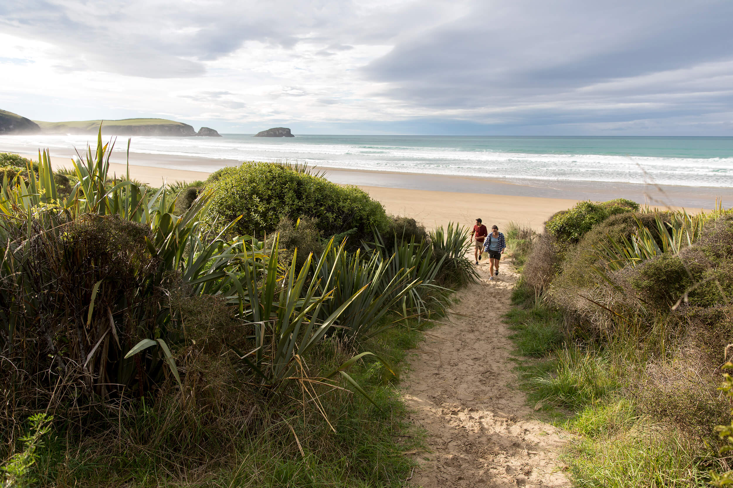 Two people walking amidst greenery next to a beach