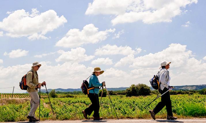 How to Choose the Right Trekking Poles