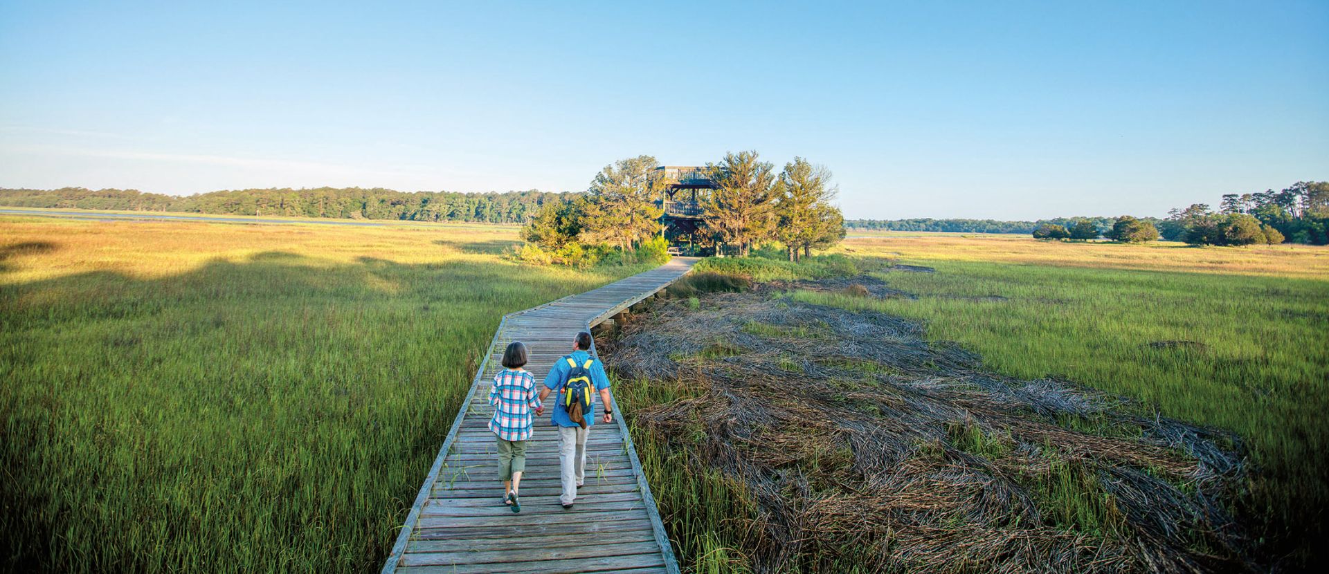 A couple walking along a boardwalk surrounded by lush greenery in Savannah, Georgia