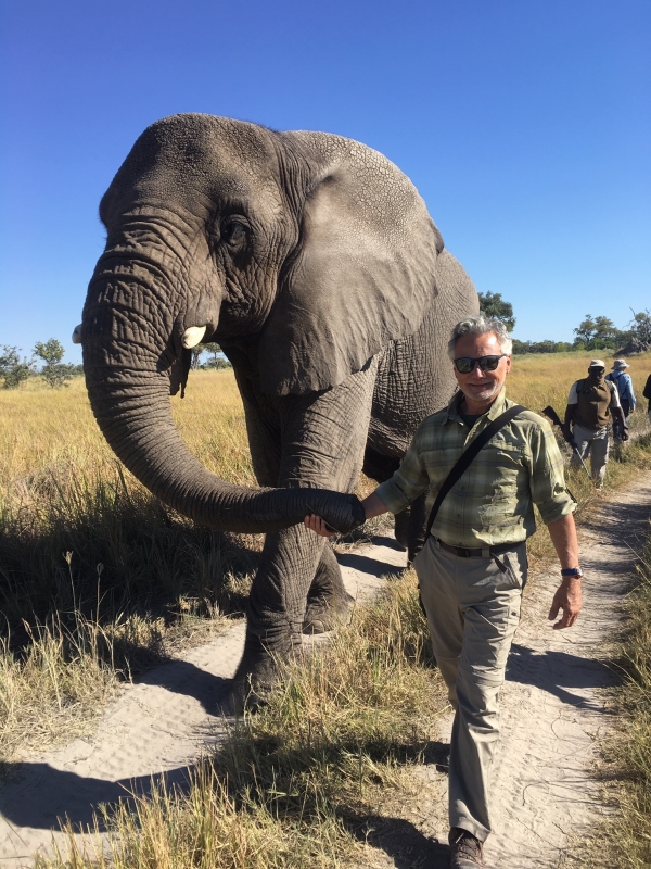 Strolling ‘Hand-in-Trunk’ in Botswana 4