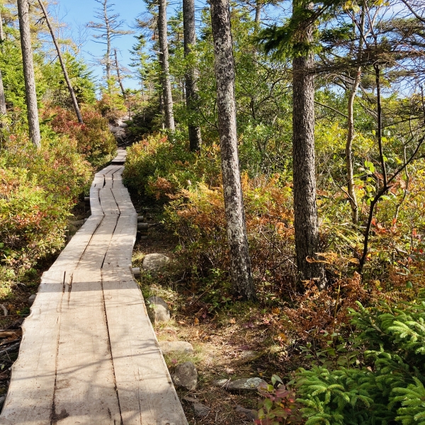 Behind the Scenes on a Country Walkers Adventure with Melanie 6