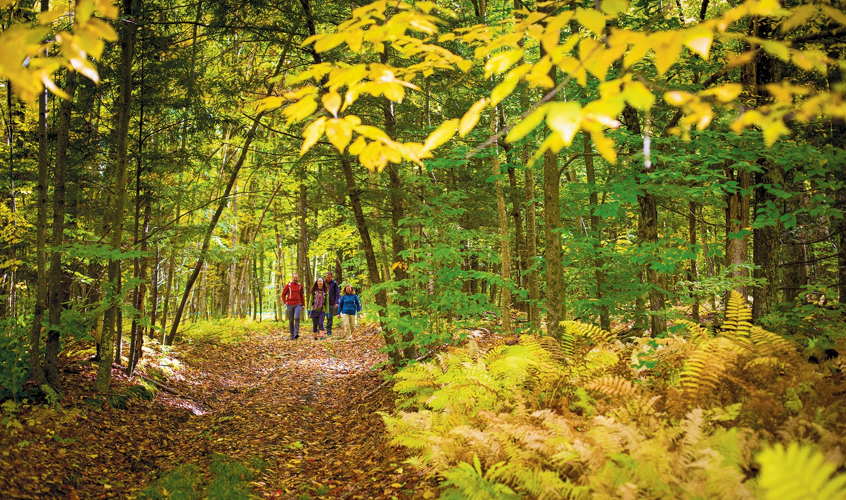 Careers Country Walkers