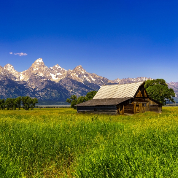 The Top Yellowstone Tips from Our Guides 7