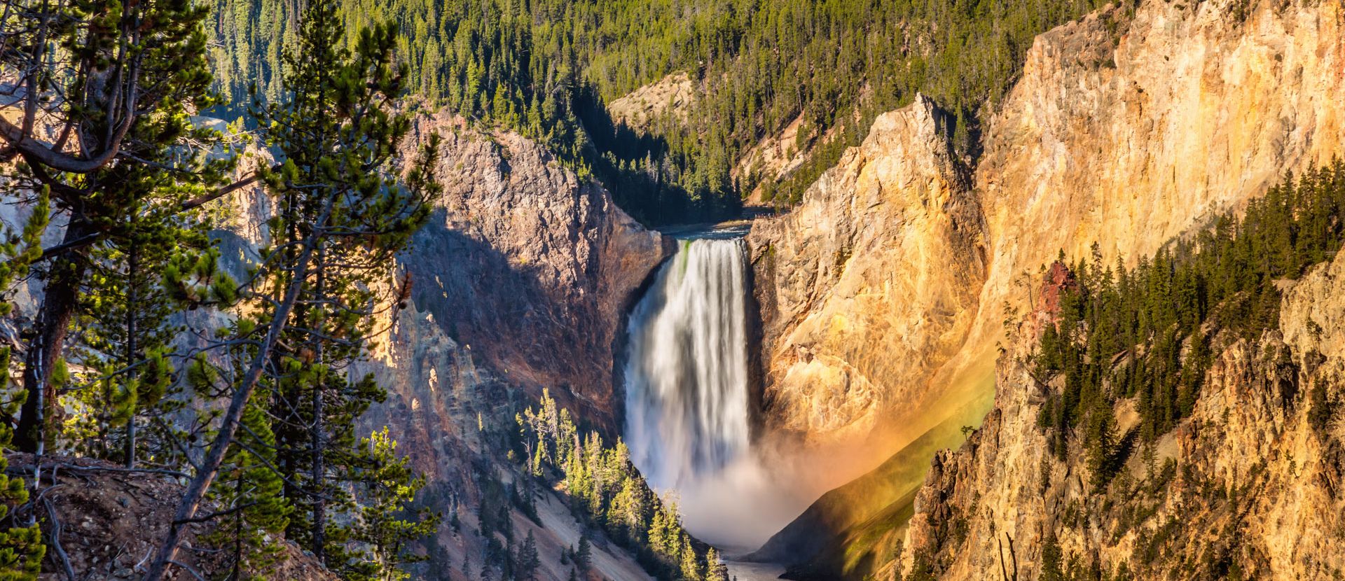 The Top Yellowstone Tips from Our Guides