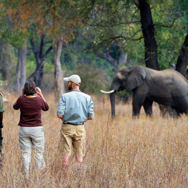 Five Unexpected Highlights of African Safaris 1