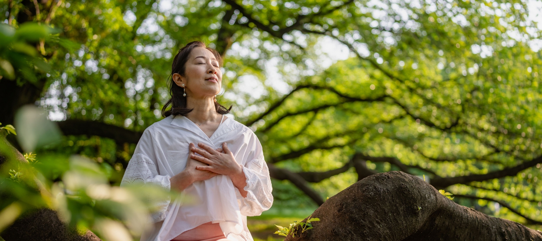 What’s the Rush? Relax, and Try Forest Bathing