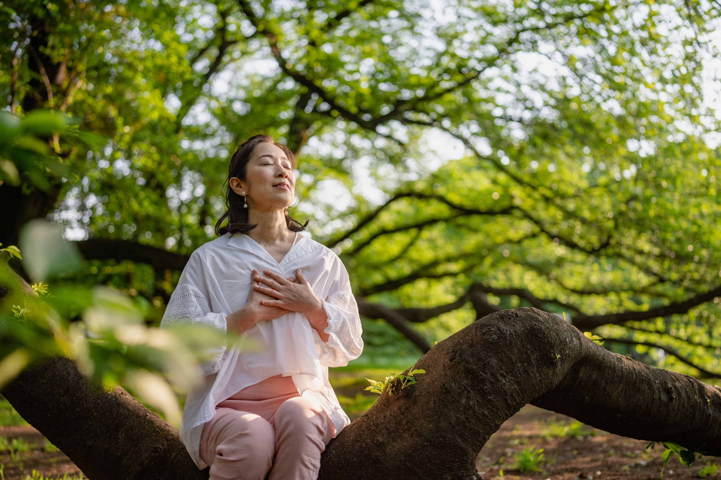 What’s the Rush? Relax, and Try Forest Bathing