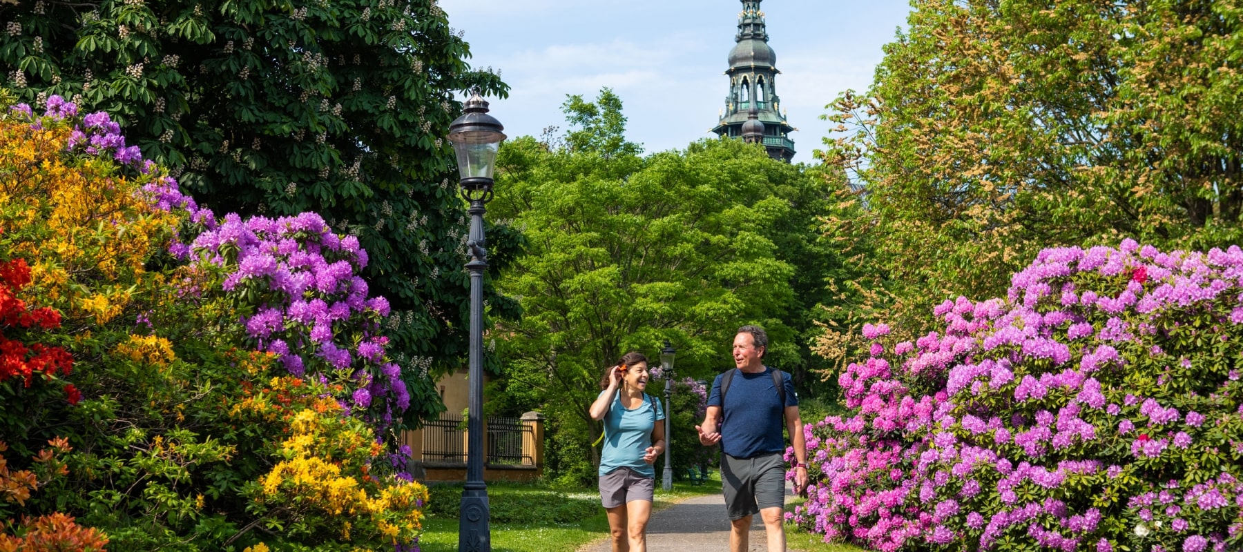 Couple walking in park with lots of flowers