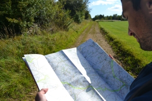 Man reading map